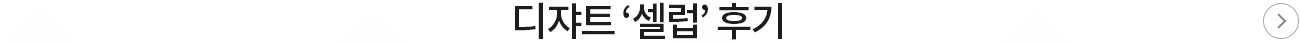 디쟈트 셀럽 후기